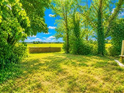 Picture 35